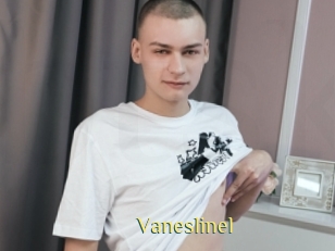 Vaneslinel