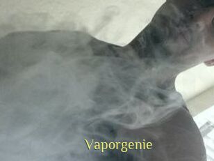 Vapor_genie
