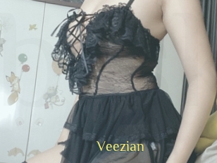 veezian Brutal Spankings