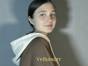 Vellumurr