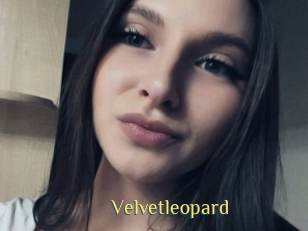 Velvetleopard