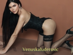 Venuskaluderovic
