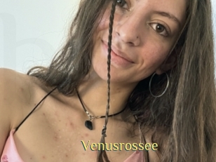 Venusrossee