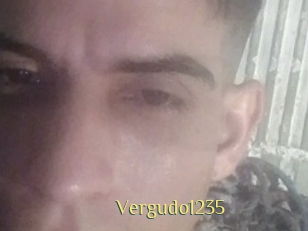 Vergudo1235