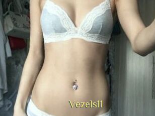 Vezels11