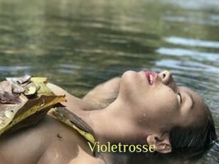 Violetrosse