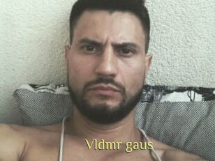 Vldmr_gaus