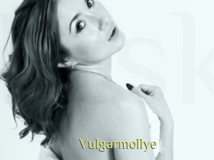 Vulgarmollye