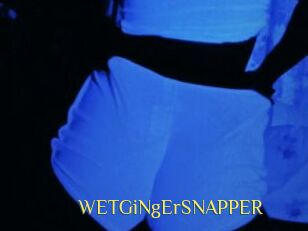 WETGiNgErSNAPPER