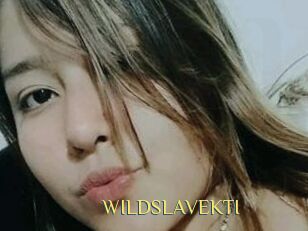 WILDSLAVEKTI