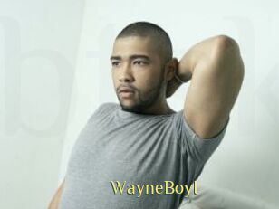 WayneBoyI