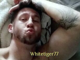 Whitetiger77