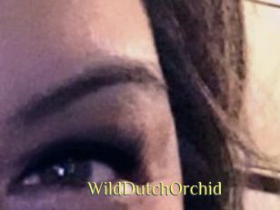 WildDutchOrchid