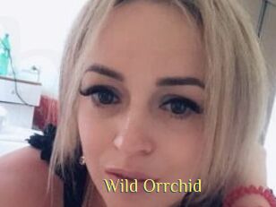 Wild_Orrchid