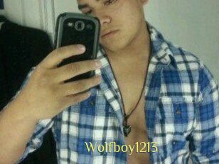 Wolfboy1213