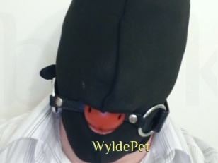 WyldePet Brutal Spankings