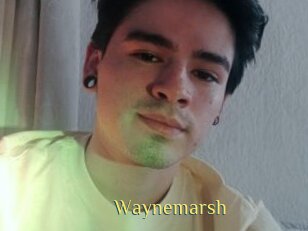 Waynemarsh