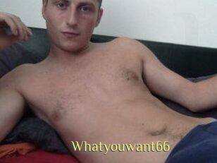 Whatyouwant66