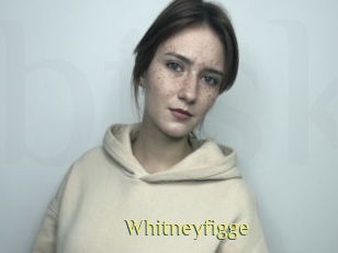 Whitneyfigge
