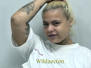 Wildaecton