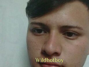 Wild_hotboy