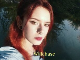 Willahase