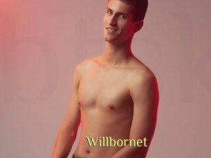 willbornet Brutal Spankings