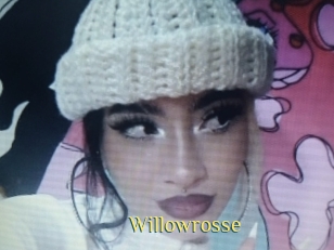willowrosse Brutal Spankings