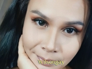 Wilsongay