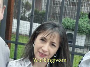 Workingteam