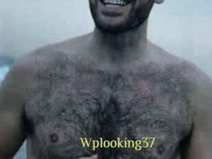 Wplooking37