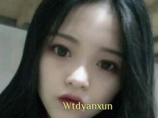Wtdyanxun