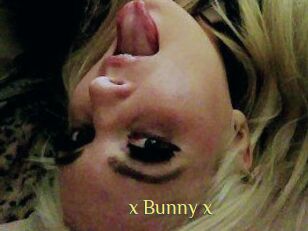 _x_Bunny_x_