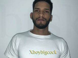 Xboybigcock