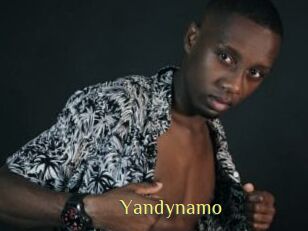 Yandynamo