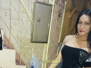 Ynez22