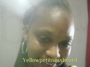 Yellowpetitnessheard