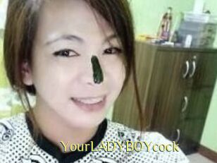YourLADYBOYcock