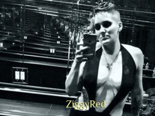 ZiggyRed
